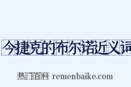 今捷克的布尔诺近义词是什么意思的图片